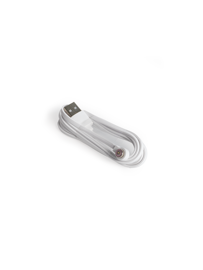Magnetic charger